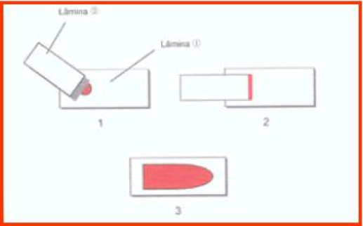 Lamina  Laboratório de Exames e de Imagem